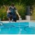 Pool Maintenance Guide: For Clean, Hygienic, and Safe Water