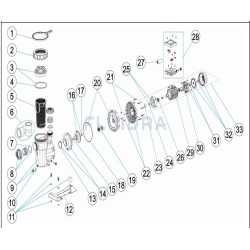 Junta brida motor (18)