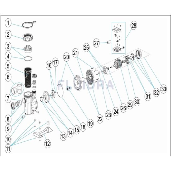 Junta brida motor (18)