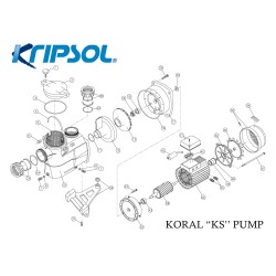 Impeller pump air motor  kripsol (0.5/0.75/1HP)No34