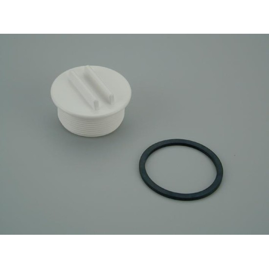 BLANKING PLUG AND O RING No3