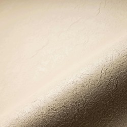 Embossed Liner relief sand Alkor (25mx1.65m=41,25m2)