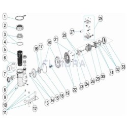 Union Fittings <=1HP No7 Union Fittings <=1HP No7