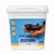Ph plus πισίνας (PH+) σε κόκκους 6KG